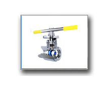 Plants: image 1 0f 4 thumb